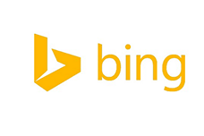 Bing Storing