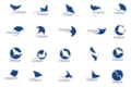 Stingray Logo